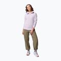 Női polár pulóver Columbia Glacial IV 1/2 Zip lavender pearl 2