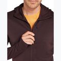 Férfi Icebreaker Merino 260 Quantum IV Zip Hoodie keserédes 7