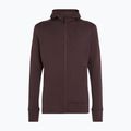 Férfi Icebreaker Merino 260 Quantum IV Zip Hoodie keserédes 11