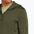 Férfi Icebreaker Merino 260 Quantum IV Zip kapucnis pulóver loden 6