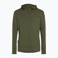 Férfi Icebreaker Merino 260 Quantum IV Zip kapucnis pulóver loden 10