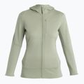 Icebreaker női túrakabát Merino 260 Quantum IV Zip Hoodie lichen 7