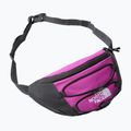 The North Face Jester Lumbar lila NF0A52TMYV41 vese táska 6