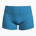 Férfi thermo boxeralsó icebreaker Merino 125 Cool-Lite Anatomica arctic