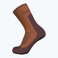 Férfi trekking zokni icebreaker Merino Hike+ Light Crew dusty clay/carob 2