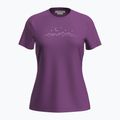 Női túrapóló icebreaker Merino 150 Tech Lite SS Tee Sparkling Stars passion