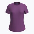 Női túrapóló icebreaker Merino 125 Cool-Lite Sphere III SS Tee passion