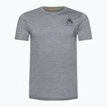 Férfi Smartwool Wilderness Summit Graphic Tee trekking póló világosszürke 16673 4