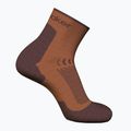 Női trekking zokni icebreaker Merino Hike+ Light Mini dusty clay/carob 2