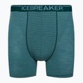 Icebreaker Anatomica Greenglory férfi thermo boxeralsó 103029