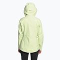 Női esőkabát The North Face Stolemberg 3L Dryvent zöld NF0A7ZCHN131 2