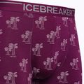 Férfi thermo boxeralsó jégtörő Anatomica Go Berry 103029 3