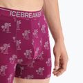 Férfi thermo boxeralsó jégtörő Anatomica Go Berry 103029 7