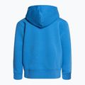 Gyermek túra pulóver The North Face Drew Peak P/O Hoodie kék NF0A82ENLV61 2