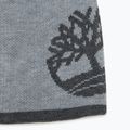 Férfi téli sapka Timberland Reversible Logo Beanie light grey heather 2