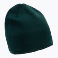 The North Face Bones Recycled zöld téli sapka NF0A3FNSD7V1