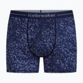 Férfi Termoaktív boxer nadrág Icebreaker Merino 150 Anatomica Moss Bloom midnight navy/aop