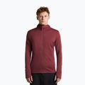Férfi pulóver Icebreaker Merino 260 Quantum IV LS Zip Hoodie port/agate