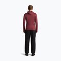 Férfi pulóver Icebreaker Merino 260 Quantum IV LS Zip Hoodie port/agate 5