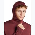 Férfi pulóver Icebreaker Merino 260 Quantum IV LS Zip Hoodie port/agate 6