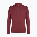 Férfi pulóver Icebreaker Merino 260 Quantum IV LS Zip Hoodie port/agate 10