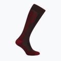 Férfi sízokni icebreaker Merino Ski+ Medium OTC bittersweet/port/black 2