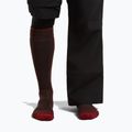 Férfi sízokni icebreaker Merino Ski+ Medium OTC bittersweet/port/black 3