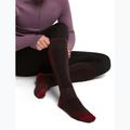 Férfi sízokni icebreaker Merino Ski+ Medium OTC bittersweet/port/black 4