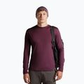Sapka icebreaker Merino 200 Oasis Reversible Beanie berry/grey plum 6