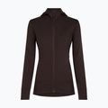 Női pulóver Icebreaker Merino 260 Quantum IV LS Zip Hoodie bittersweet 9