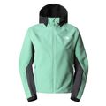 Női softshell kabát The North Face AO Softshell Hoodie zöld NF0A7ZE990Q1 9