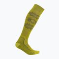 Férfi Icebreaker Ski+ Light OTC Ski Heritage bio lime/loden zokni