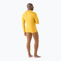Férfi termoaktív pulóver Smartwool Merino 250 Baselayer Crew Boxed honey gold 2