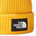 The North Face Salty Summit arany sapka 2