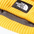 The North Face Salty Summit arany sapka 3