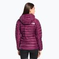 Női télikabát The North Face Summit Breithorn Hoodie boysenberry 2
