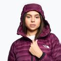 Női télikabát The North Face Summit Breithorn Hoodie boysenberry 3