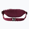 The North Face Lumbnical 4 l boysenberry vesetasak 2