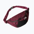 The North Face Lumbnical 4 l boysenberry vesetasak 3
