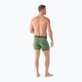 Férfi Smartwool Merino Boxer Thermal Boxer Brief Boxed páfrány zöld 3
