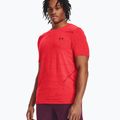 Férfi Under Armour Seamless Grid béta/sötét bordó edzőpóló