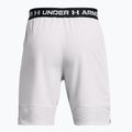 Under Armour Ua Vanish Woven férfi edzőshort 8in halo gray/black 6
