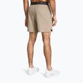 Férfi edzőshort Under Armour UA Vanish Woven 6in timberwolf taupe/fekete 3