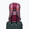Városi hátizsák Cotopaxi Allpa Daypack 26 l fig 6