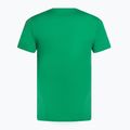 Férfi teniszpóló Nike Court Dri-Fit Heritage stadium green 2