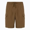 Férfi rövidnadrág Vans Range Cargo Loose Short