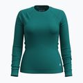 Női termoaktív pulóver Smartwool Merino 250 Baselayer Crew Boxed emerald green 3