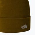 Férfi túrasapka The North Face Norm Beanie moha zöld 2