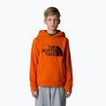 The North Face Drew Peak P/O Hoodie narancssárga gyermek melegítő pulóver