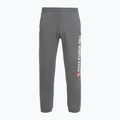 Férfi nadrág The North Face Varsity Graphic közepes szürke szürke sörény